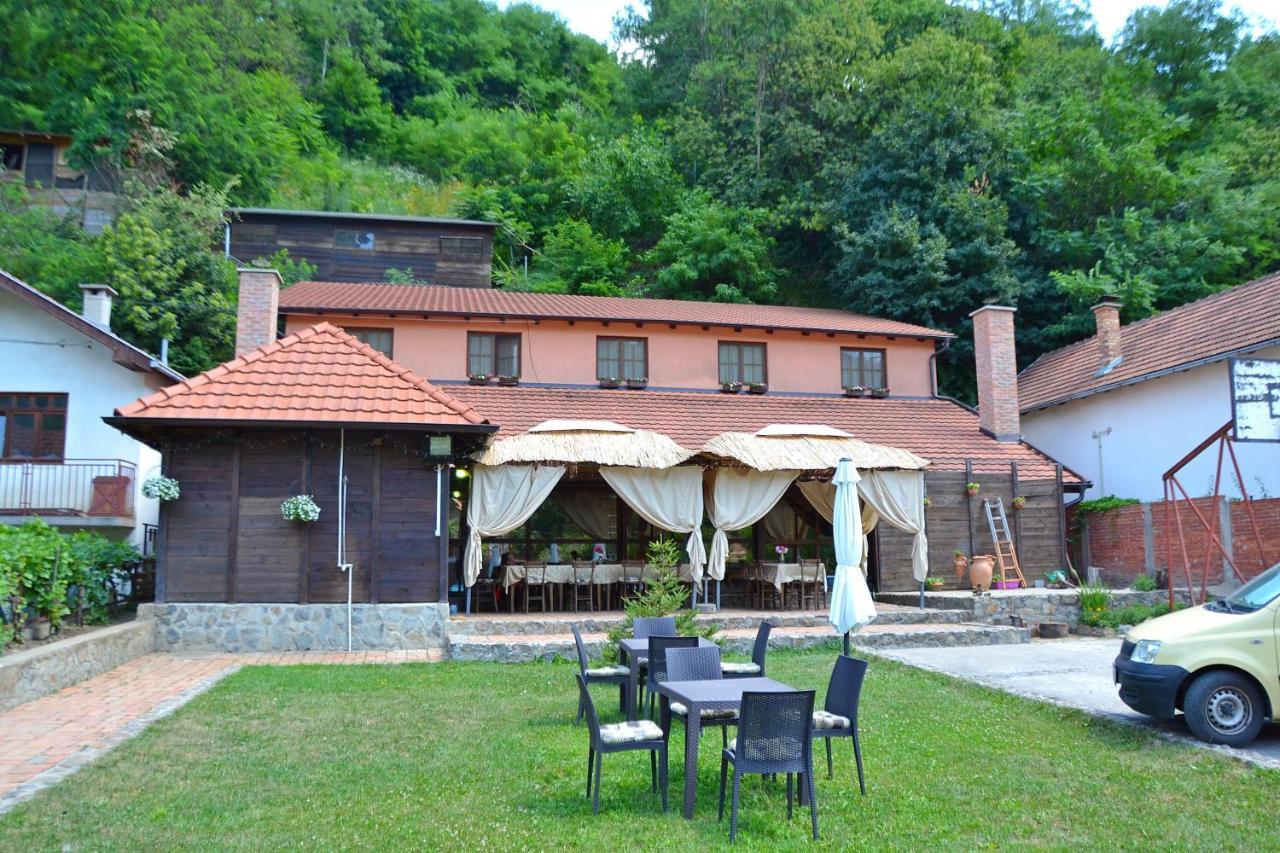 Podrum Miljevic Novi Novi Ledinci 外观 照片